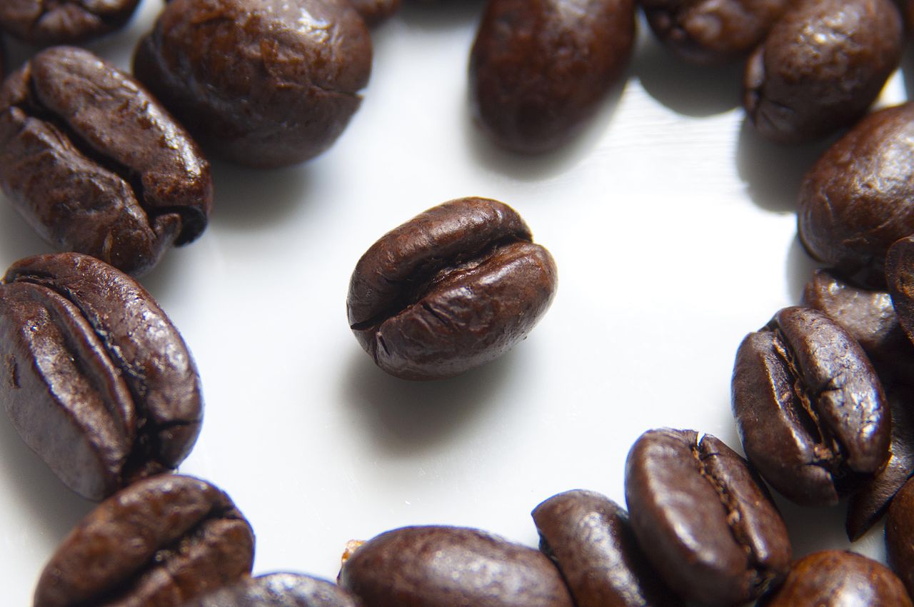 1280px-Coffee_Beans_Photographed_in_Macro